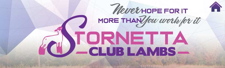Stornetta Club Lambs