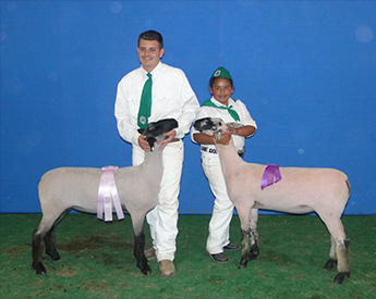 Stornetta Winners