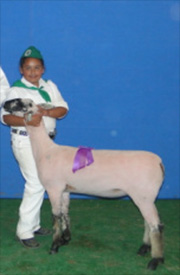 Stornetta Winners