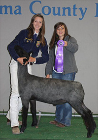 Stornetta Winners