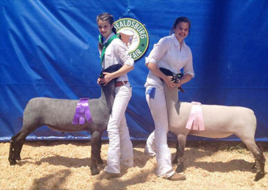 Stornetta Winners