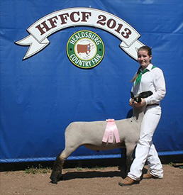 Stornetta Winners