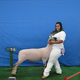 Stornetta Winners