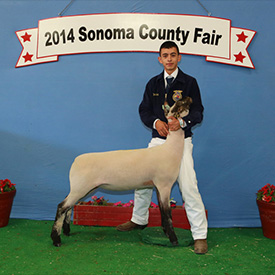 Stornetta Winners