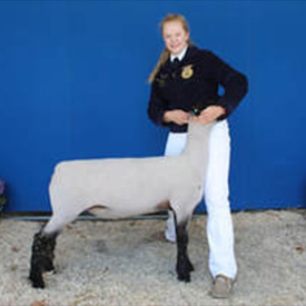 Stornetta Winners