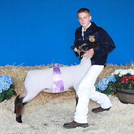 Stornetta Winners