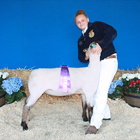 Stornetta Winners