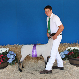 Stornetta Winners