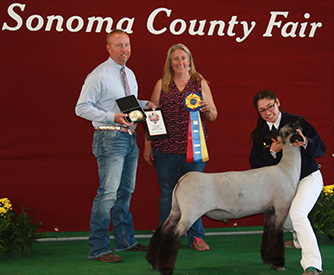 Stornetta Winners