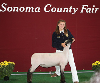 Stornetta Winners