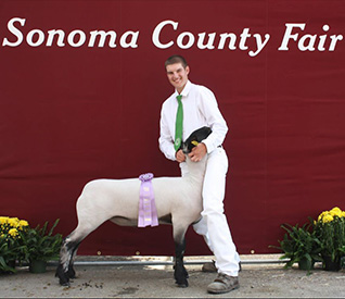 Stornetta Winners