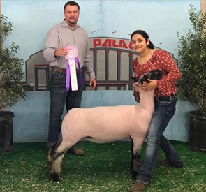 Stornetta Winners