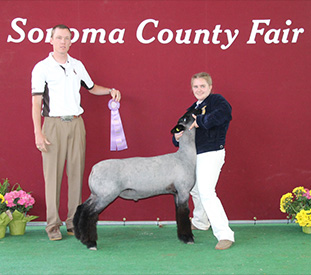 Stornetta Winners