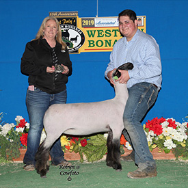 Stornetta Winners